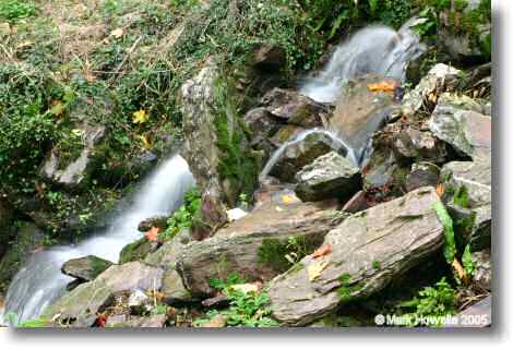 Hestercombe Waterfall 2